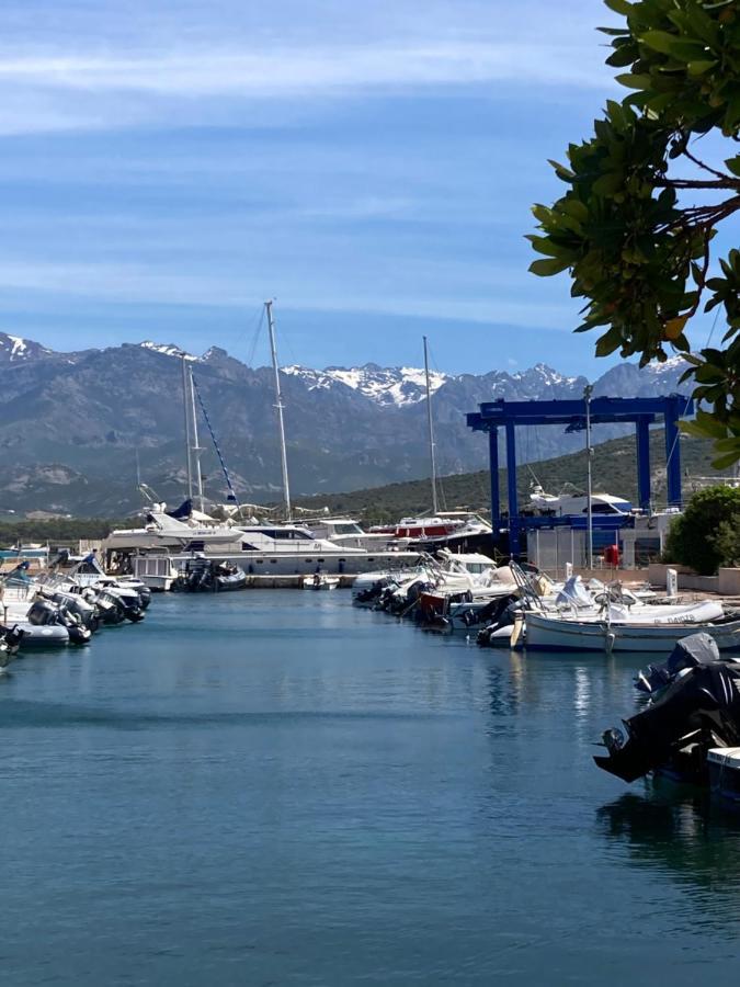 Corse Calvi Appt Vue Sur Appartement *