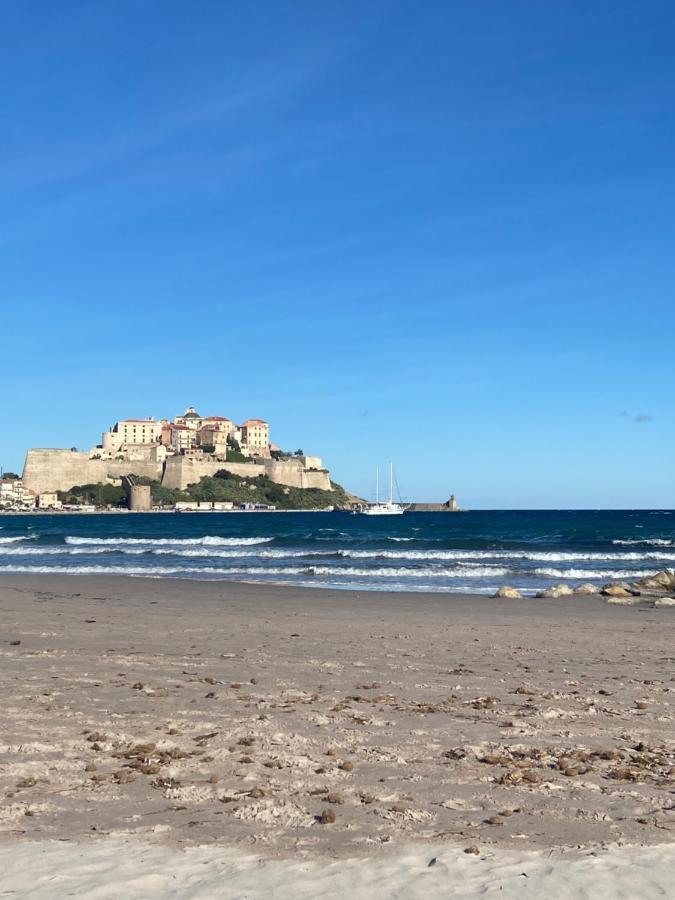 Corse Calvi Appt Vue Sur Appartement *