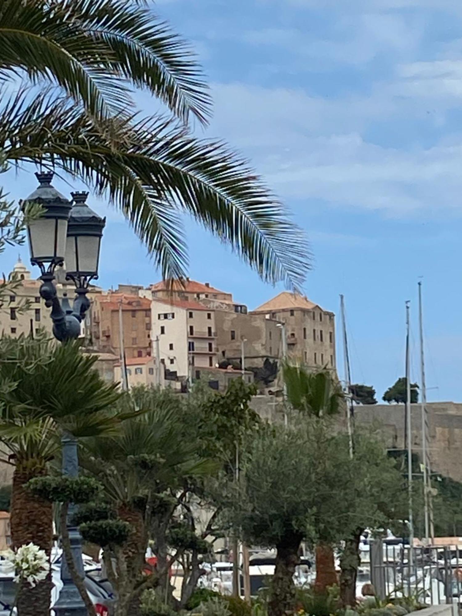 Corse Calvi Appt Vue Sur Calvi (Corsica)