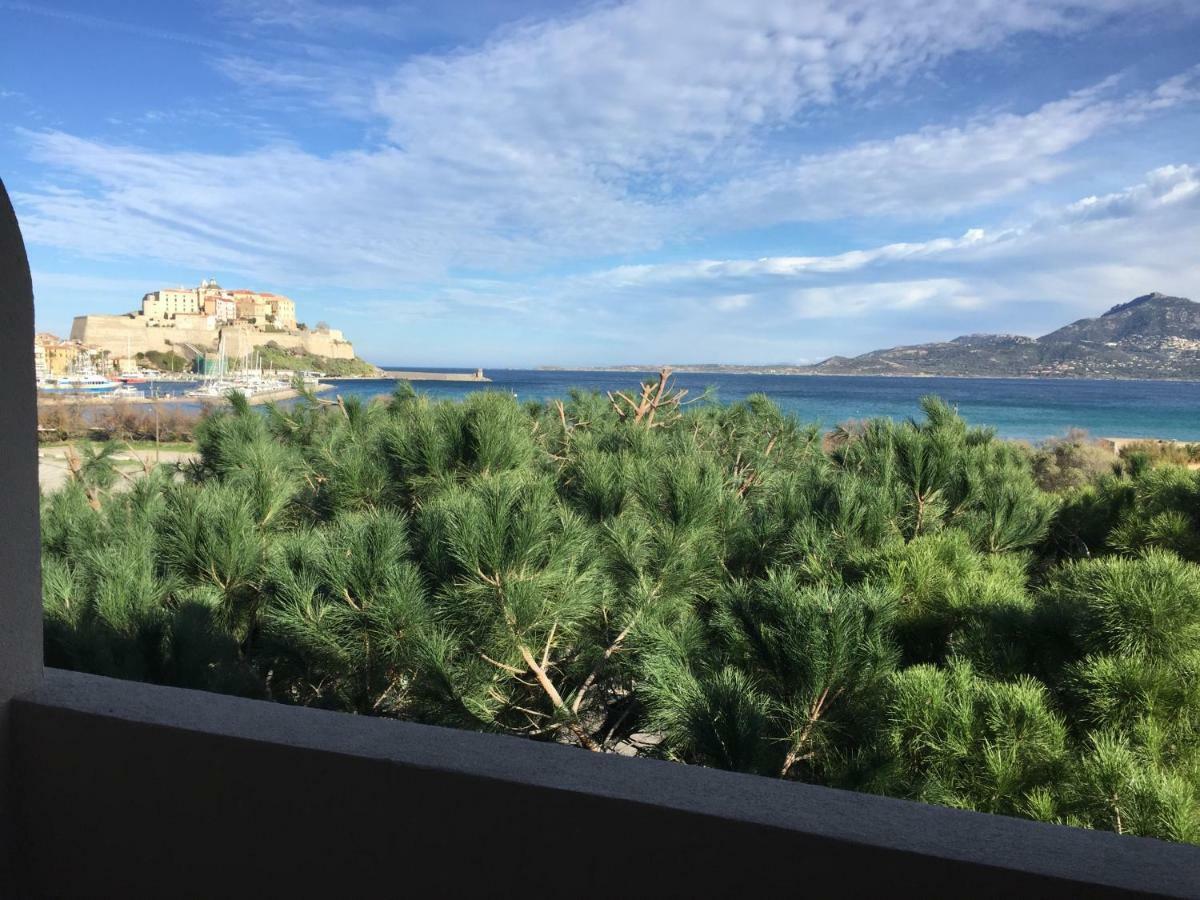 Corse Calvi Appt Vue Sur Appartement