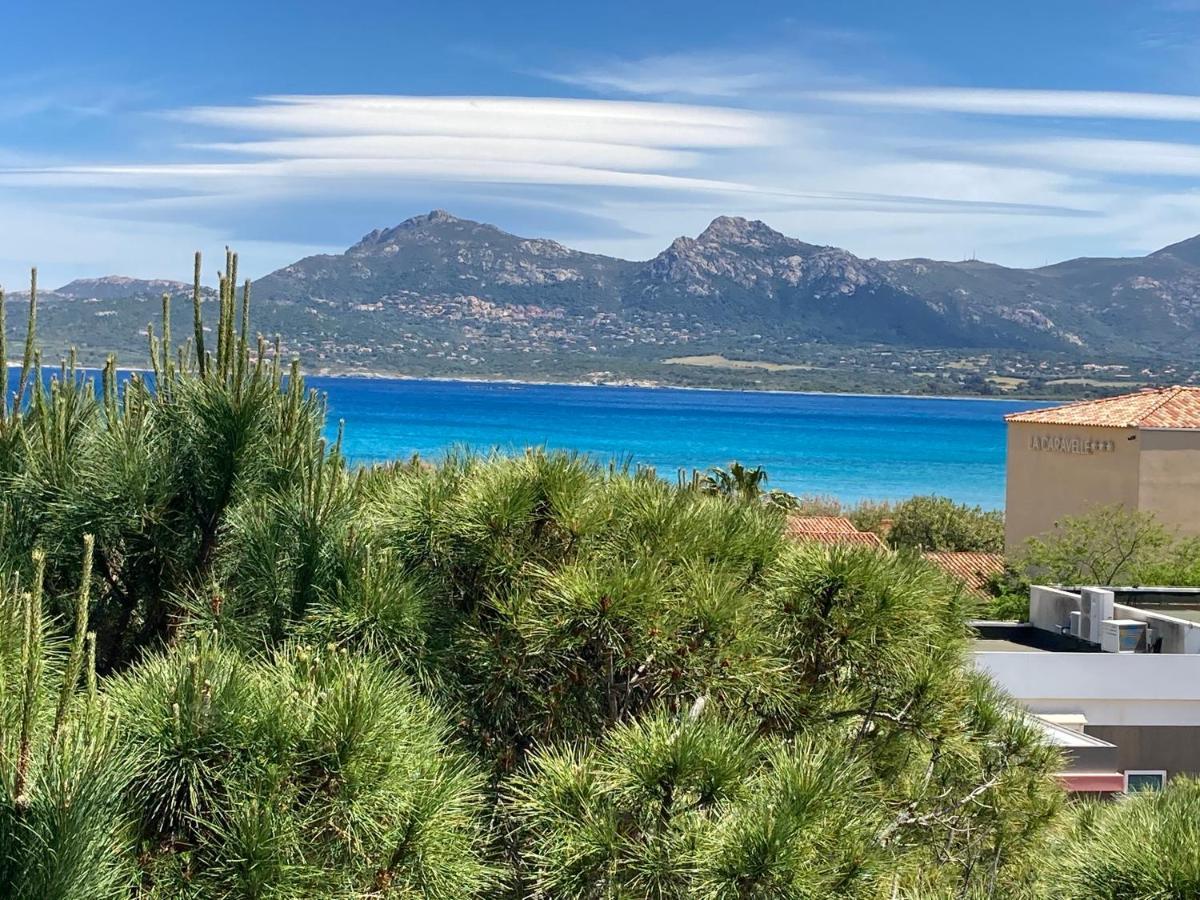 Apartment Corse Calvi Appt Cote