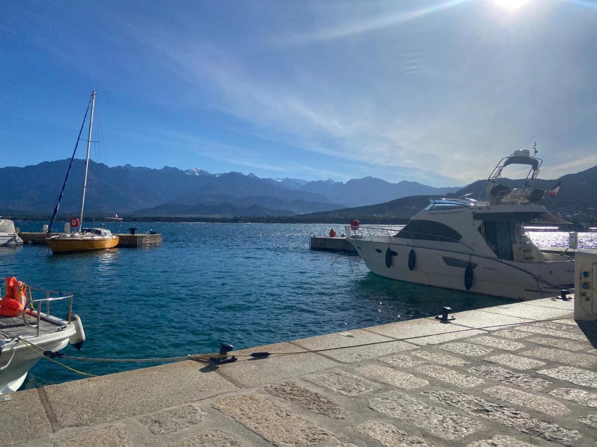 Corse Calvi Appt Cote Apartment *