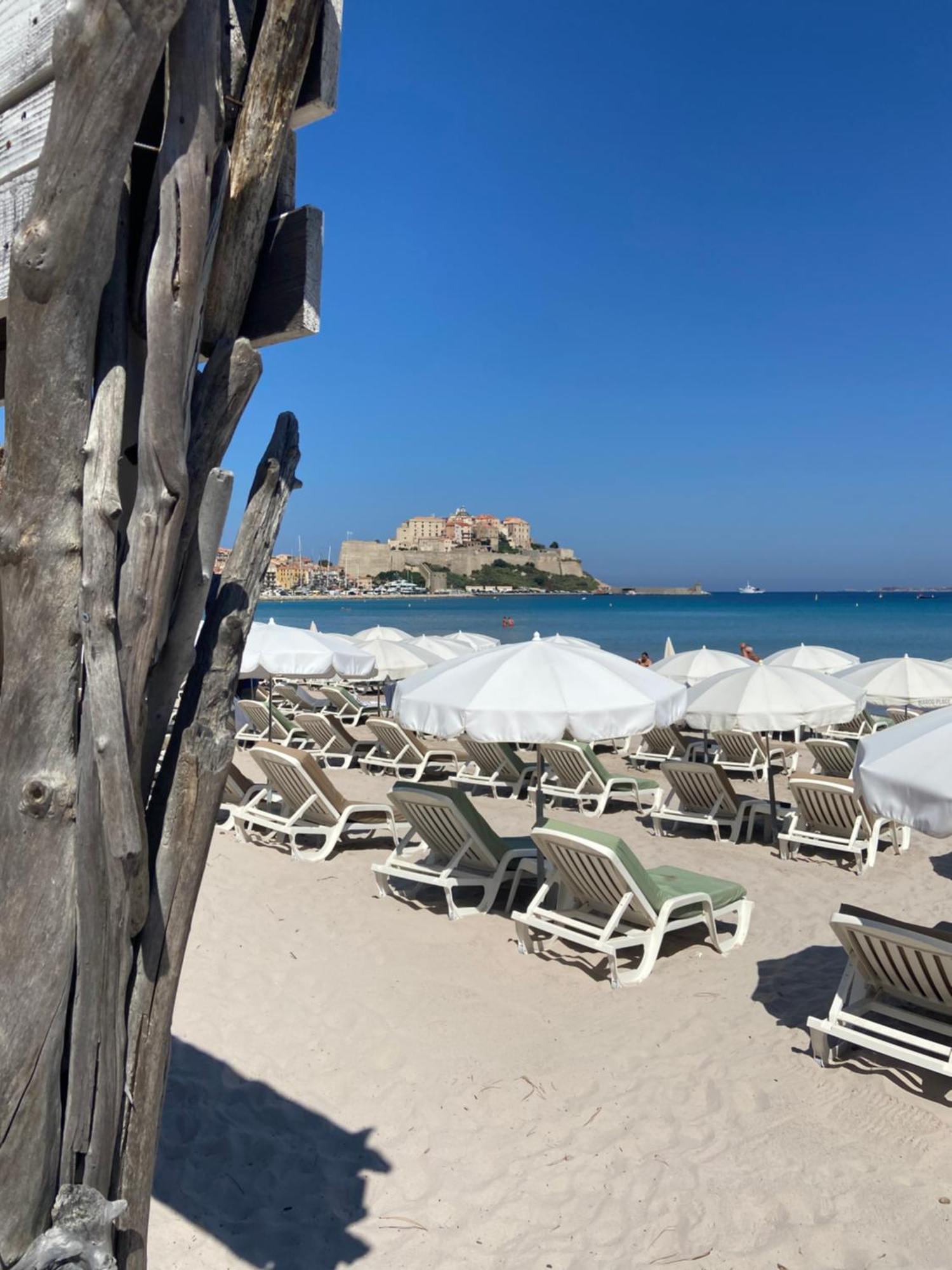 Corse Calvi Appt Cote *