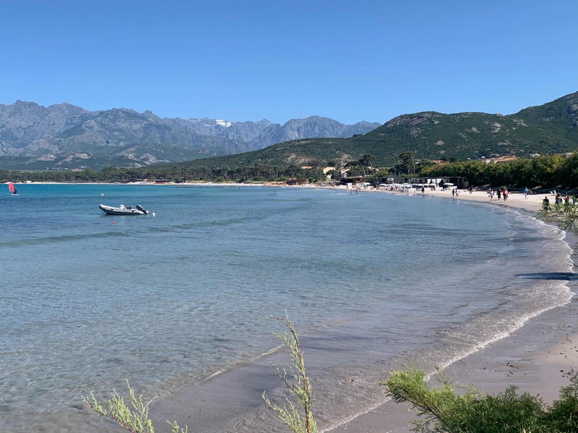 Corse Calvi Appt Cote Apartment